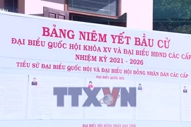 Các mốc tiến hành Bầu cử ĐBQH khóa XVI và ĐB HĐND các cấp nhiệm kỳ 2026-2031