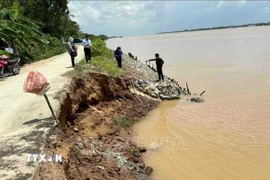 Đoạn sạt lở bờ sông Bang Tra, khu vực ấp Rạch Vọp, xã Quới Thiện. (Ảnh: Phúc Sơn/TTXVN)