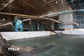 Khu vực đưa cá vào nghiền bột dây chuyền tại nhà máy bột cá của Công ty Trách nhiệm hữu hạn Phúc Lộc Vũng Tàu phải ngưng hoạt động do thiếu nguyên liệu trầm trọng. (Ảnh: Hoàng Nhị/TTXVN)