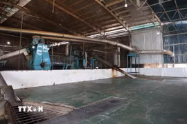 Khu vực đưa cá vào nghiền bột dây chuyền tại nhà máy bột cá của Công ty Trách nhiệm hữu hạn Phúc Lộc Vũng Tàu phải ngưng hoạt động do thiếu nguyên liệu trầm trọng. (Ảnh: Hoàng Nhị/TTXVN)