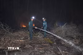 Cán bộ, chiến sỹ phối hợp dập lửa, khoanh vùng đám cháy để ngăn lan rộng. (Ảnh: TTXVN phát)