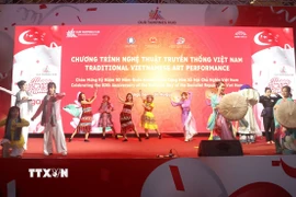 Một tiết mục đặc sắc tại Chương trình biểu diễn nghệ thuật truyền thống Việt Nam tại Singapore. (Ảnh: Tất Đạt/TTXVN)
