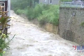 Vụ cháy gây thiệt hại nhiều căn nhà và tài sản người dân. (Ảnh: TTXVN phát)