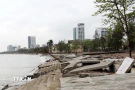 Bờ kè được đầu tư hơn 160 tỷ đồng tan hoang sau bão số 10 (tháng 9/2025). (Ảnh: Văn Tý/TTXVN)