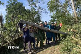 Lực lượng Công an tỉnh Gia Lai giúp người dân dọn dẹp trụ điện ngã đổ gây cản trở giao thông. (Ảnh: Sỹ Thắng/TTXVN)