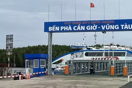 Ảnh minh họa.