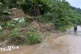 Sạt lở tại Quốc lộ 40B địa phận xã Nam Trà My, thành phố Đà Nẵng. (Ảnh: TTXVN phát)