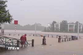 Lũ lên trên báo động 2 gây ngập ven bờ Nam sông Hương, thành phố Huế. (Ảnh: Nguyên Lý/TTXVN)