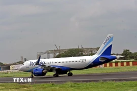 Máy bay của hãng hàng không Ấn Độ IndiGo. (Ảnh: ANI/TTXVN)