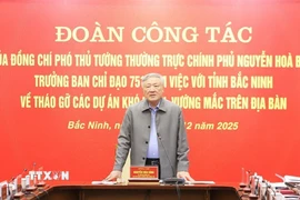 Ủy viên Bộ Chính trị, Phó Thủ tướng Thường trực Chính phủ Nguyễn Hòa Bình phát biểu tại buổi làm việc. (Ảnh: Thái Hùng/TTXVN)