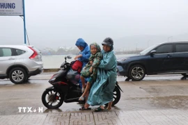 Di dời người dân phường Sa Huỳnh đến các nơi tránh trú tập trung. (Ảnh: Phạm Cường/TTXVN)