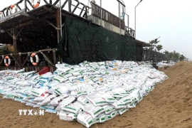 Người dân ven biển phường Tuy Hòa hoàn thành việc chèn chống nhà cửa, cơ sở sản xuất, kinh doanh. (Ảnh: Tường Quân/TTXVN)