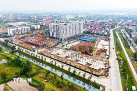 Ảnh minh họa. (Nguồn: TTXVN)