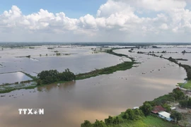 Nước sông Vàm Cỏ Đông (đoạn chảy qua địa phận xã Thạnh Đức, tỉnh Tây Ninh) dâng cao, gây ngập nhiều diện tích đất nông nghiệp của người dân. (Ảnh: Thanh Tân/TTXVN)