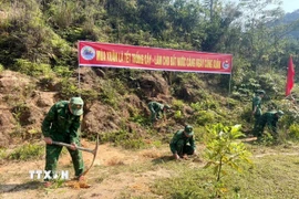 Bộ đội Biên phòng tỉnh Quảng Trị đồng loạt triển khai, tổ chức trồng hơn 25.000 cây xanh các loại hưởng ứng Tết trồng cây Xuân Bính Ngọ năm 2026. (Ảnh: TTXVN phát)