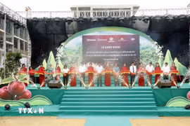 Đại biểu cắt băng khởi hành đưa mận hậu Sơn La lên các chuyến bay của Vietnam Airlines và vào hệ thống phân phối WinCommerce, Saigon Co.op và GO!. (Ảnh: Quang Quyết/TTXVN)
