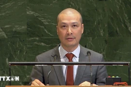 Công sứ Nguyễn Hoàng Nguyên, Phó Trưởng Phái đoàn thường trực Việt Nam tại Liên hợp quốc. (Ảnh: Hoài Thanh/TTXVN)