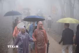 (Ảnh: Hoa Mai/TTXVN)