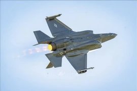 Chiến đấu cơ F-35 do Hãng Lockheed Martin của Mỹ sản xuất. (Ảnh tư liệu: PAP/TTXVN)