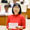 Bà Nguyễn Thị Việt Nga, Phó Trưởng đoàn chuyên trách, Đoàn đại biểu Quốc hội thành phố Hải Phòng. (Ảnh: Doãn Tấn/TTXVN)