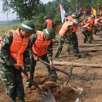 Ảnh minh họa. (Ảnh: Trọng Đức/TTXVN)