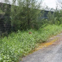 Nước thải từ bãi rác Đa Phước rỉ chảy gây ô nhiễm. (Ảnh: Trần Xuân Tình/TTXVN)