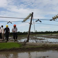 Cán bộ, công nhân Điện lực Hải Phòng kiểm tra hiện trường vị trí cột 54, đường dây 110 kV bị đổ gãy. (Ảnh: Trọng Đức/TTXVN).