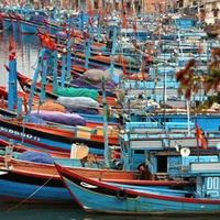 Tàu thuyền tại Quảng Ngãi được thông báo vào nơi trú ẩn và neo đậu an toàn. (Ảnh: Thanh Long/TTXVN)