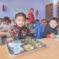 Ảnh minh họa. (Nguồn: TTXVN)