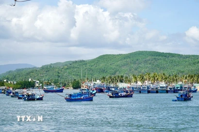 Ngư dân vươn khơi xuyên Tết tại cửa biển Tam Quan. (Ảnh: Sỹ Thắng/TTXVN)