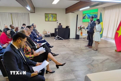 Hội thảo “Cơ hội phát triển Chuỗi giá trị nông nghiệp thông minh Việt Nam-Brazil." (Ảnh: Đại sứ quán Việt Nam tại Brazil/TTXVN phát)