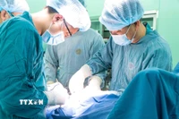Các bác sỹ tiến hành phẫu thuật cho bệnh nhân. (Ảnh: TTXVN phát)