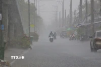  (Ảnh minh họa. Duy Khương/TTXVN)