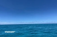 Ảnh minh họa. (Ảnh: Vietnam+)