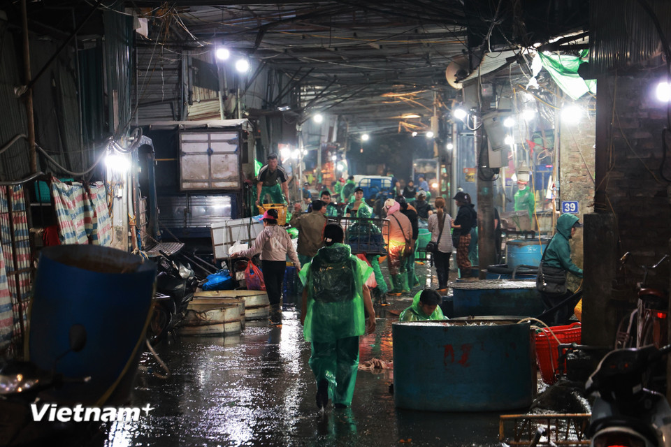Những ngày cận 23 tháng Chạp là những ngày 'không ngủ' của các tiểu thương chợ cá Yên Sở. (Ảnh: Minh Hiếu/Vietnam+)