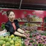 Hội chợ “Made in Vietnam” không chỉ là nơi trưng bày mà còn là không gian giao thương, trải nghiệm văn hóa ẩm thực và trình diễn sản phẩm đặc sắc.. (Ảnh: Đức Duy/Vietnam+)