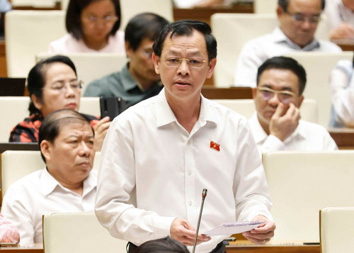 TTXVN_dai bieu thuc.jpg