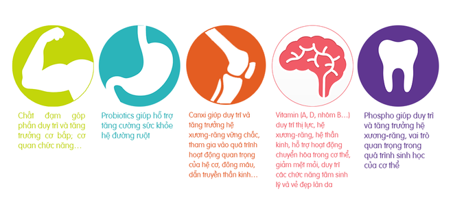 Chế độ dinh dưỡng cân bằng hàng ngày để kết hợp làm đẹp ảnh 2