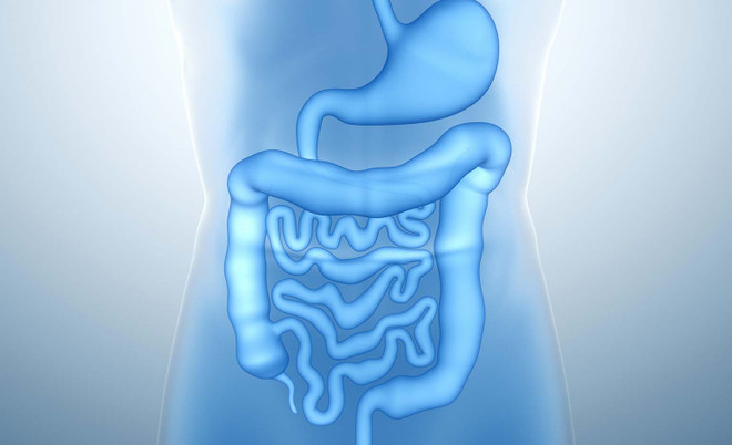 Similac Eye-Q Plus - sữa công thức đầu tiên ở Việt Nam có bổ sung HMO ảnh 1