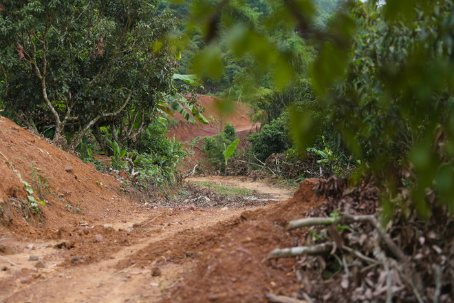 Để có "con đường đến với cái chữ" giữa lòng hồ Cấm Sơn ảnh 7