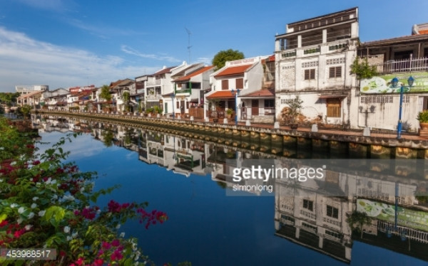 Người chặt cây trái phép ở Malaysia sẽ bị pháp luật truy tố ảnh 1