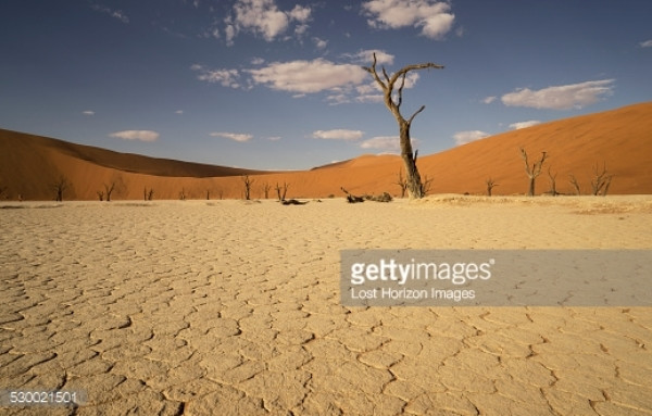 Cứu sống hàng nghìn người nhờ cải tiến về dự báo thời tiết ảnh 1