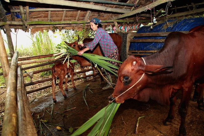 Khi giảm nghèo không còn là chuyện của chính phủ ảnh 2