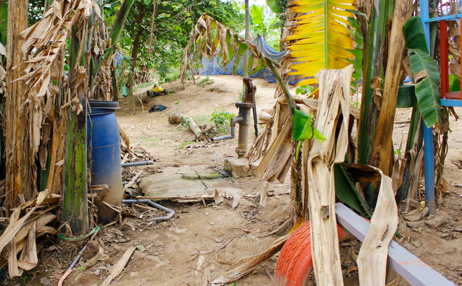 Chuyện 28 hộ dân dùng chung một giếng nước ở xóm Nổi sông Hồng ảnh 3