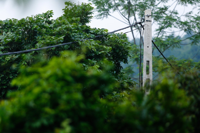 [Photo] Con đường đem hy vọng tới Đồng Mậm, Bắc Giang ảnh 6