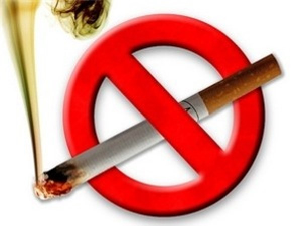 Thượng viện Anh thông qua luật mới về quy cách bao bì thuốc lá ảnh 1