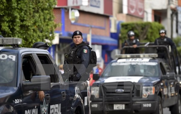 Mexico bắt giữ thêm một trùm tổ chức buôn bán ma túy sừng sỏ ảnh 1