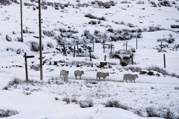 Bờ Đông nước Mỹ lại tiếp tục hứng chịu trận bão tuyết lớn ảnh 1