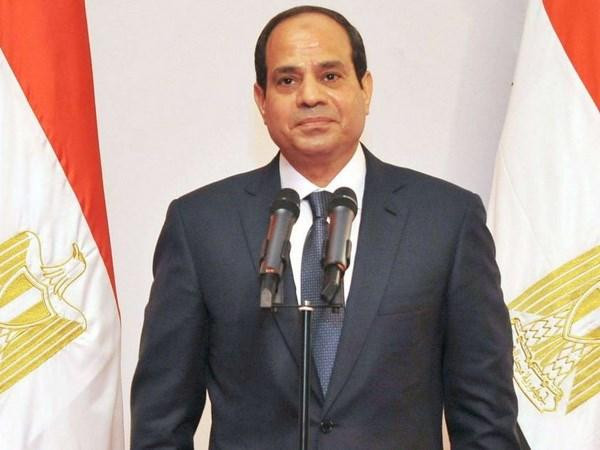 Chính quyền Ai Cập trục xuất thành viên hoàng gia Qatar ảnh 1