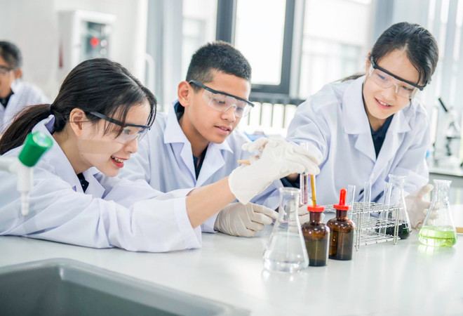 Cơ hội cho trường học Việt Nam vươn tới đẳng cấp quốc tế ảnh 3